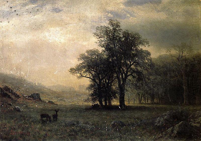 The Open Glen, New England, Albert Bierstadt